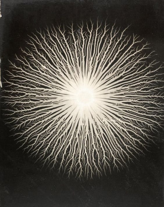 Gyorgy Kepes, Lichtenberg figures: A. R. von Hippel